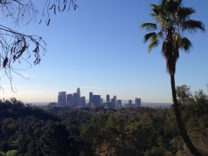 downtown skyline