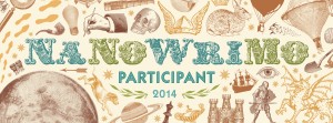 nanowrimo 2014